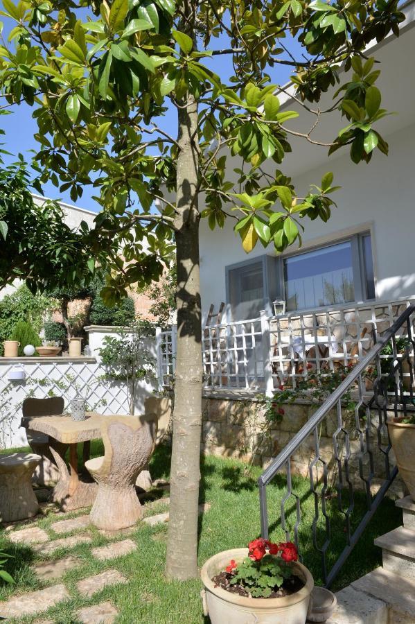 Alba Dei Trulli Bed and Breakfast Αλμπερομπέλο Εξωτερικό φωτογραφία